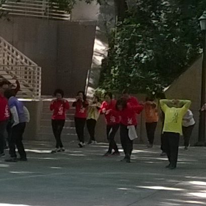 WP_20171230_11_40_41_Pro 1