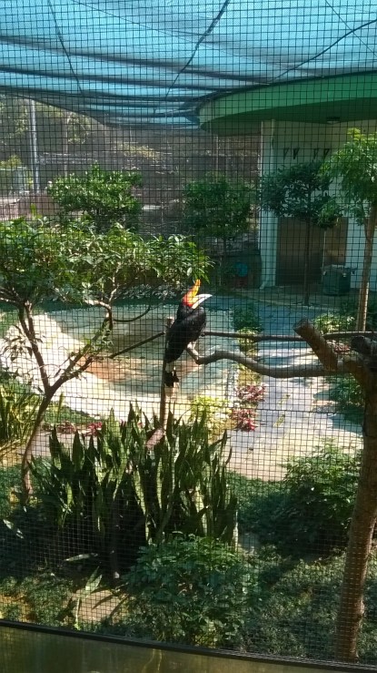 WP_20171230_11_50_32_Pro