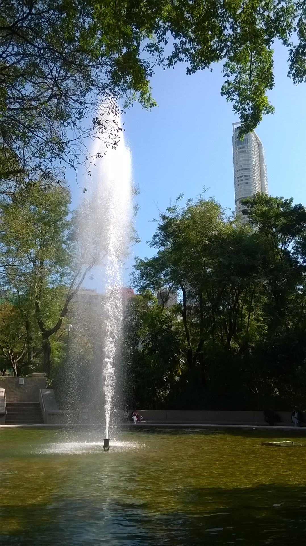 WP_20171230_12_19_39_Pro